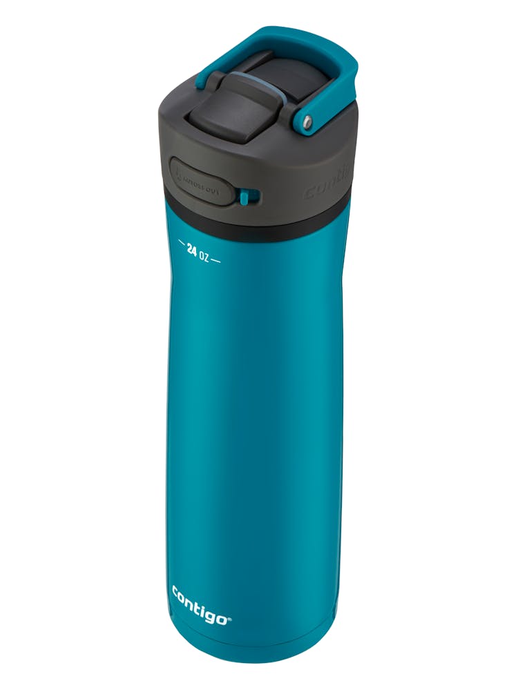 Contigo® Ashland Chill 2.0 Stainless Steel Water Bottle with AUTOSPOUT® Lid, 24oz - Licorice