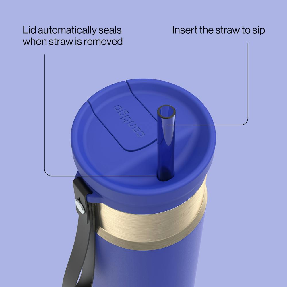 24oz SnapSeal™ Bottle - Wild Indigo Champagne